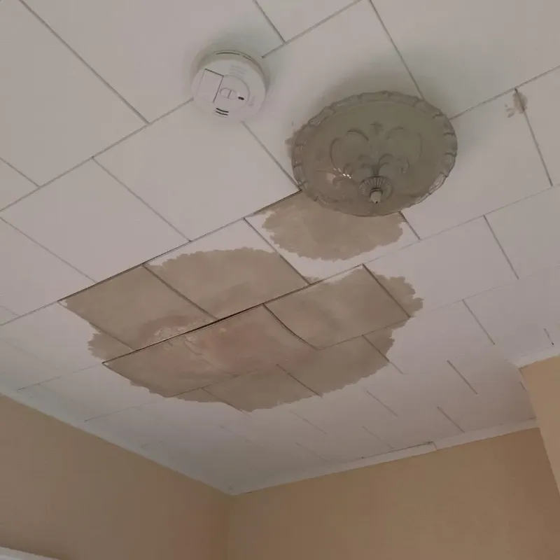 Ceiling Water Damage Repair in Troy, NY