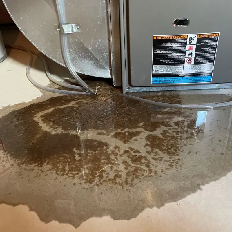 Pipe Burst and Leak Restoration in Troy, NY